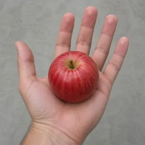 A realistic photo of a hand holding a red apple, with all fingers clearly visible. - OpenAI GPT Image 2