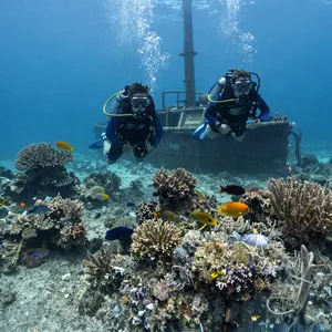 An underwater scene with scuba divers exploring a coral reef alongside colorful fish and a sunken ship. - Alibaba Z-Image Turbo