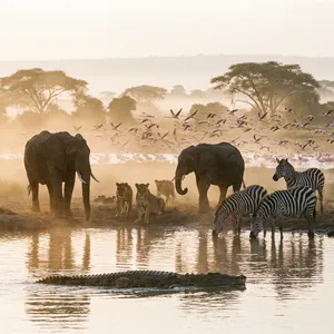 A misty dawn at an African savanna watering hole where elephants, lions, and zebras coexist in tense harmony, with a crocodile partially submerged in the foreground and flamingos taking flight in the background, golden hour lighting. - Google Nano Banana Pro