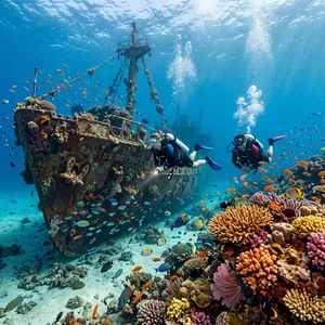 An underwater scene with scuba divers exploring a coral reef alongside colorful fish and a sunken ship. - Google Nano Banana 2