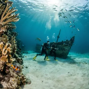 An underwater scene with scuba divers exploring a coral reef alongside colorful fish and a sunken ship. - Ideogram Ideogram 4.0 (Quality)