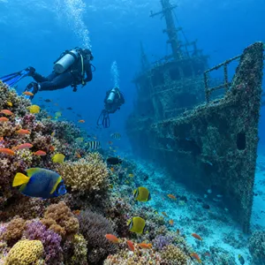 An underwater scene with scuba divers exploring a coral reef alongside colorful fish and a sunken ship. - OpenAI GPT Image 2.5 Flare