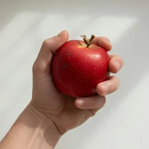 A realistic photo of a hand holding a red apple, with all fingers clearly visible. - XAI Grok Imagine (Quality)