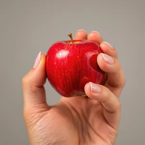 A realistic photo of a hand holding a red apple, with all fingers clearly visible. - Black Forest Labs Flux 1.1 Pro Ultra