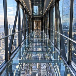 Photorealistic rendering of a contemporary glass skybridge between two skyscrapers, seen from inside with city views visible through glass walls and floor. Show accurate reflections and structural details. - Takumi Takumi 1.1