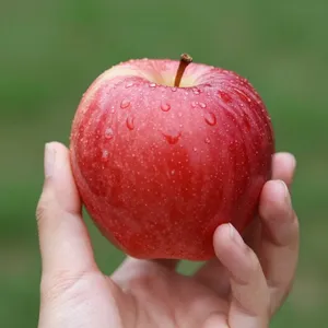 A realistic photo of a hand holding a red apple, with all fingers clearly visible. - Alibaba Z-Image Turbo