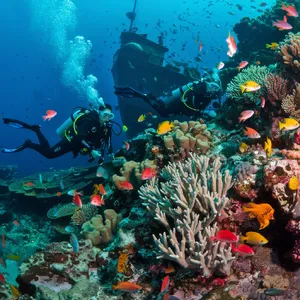 An underwater scene with scuba divers exploring a coral reef alongside colorful fish and a sunken ship. - Ideogram Ideogram V2