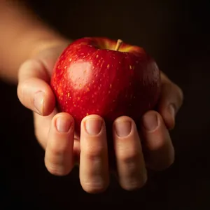 A realistic photo of a hand holding a red apple, with all fingers clearly visible. - Minimax MiniMax Image-01
