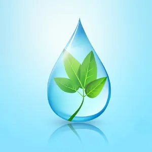 Visual element for an infographic about water conservation. Stylized water droplet icon containing a small green leaf, clean vector art. - Minimax MiniMax Image-01