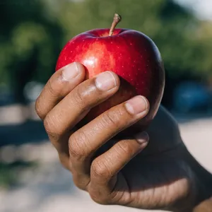 A realistic photo of a hand holding a red apple, with all fingers clearly visible. - Recraft Recraft V4.1