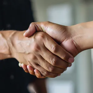 A close-up of two people shaking hands, both hands fully visible with five fingers each, in sharp focus against a blurred background. - Reve Reve Image (Halfmoon)