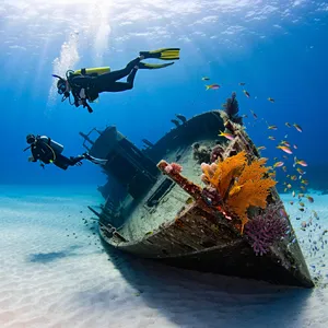 An underwater scene with scuba divers exploring a coral reef alongside colorful fish and a sunken ship. - Reve Reve Image (Halfmoon)