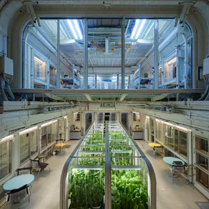 Interior of a futuristic space habitat with hydroponics gardens, communal areas, and living quarters. Show curved walls, artificial gravity considerations, and multipurpose furniture designs. - Reve Reve Image (Halfmoon)
