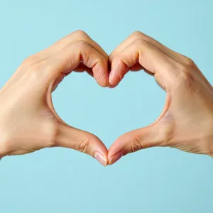 Two hands forming a heart shape together against a plain background. - Reve Reve Image (Halfmoon)