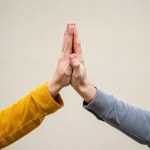 Two people high-fiving, with focus on their hands meeting mid-air. - Reve Reve Image (Halfmoon)