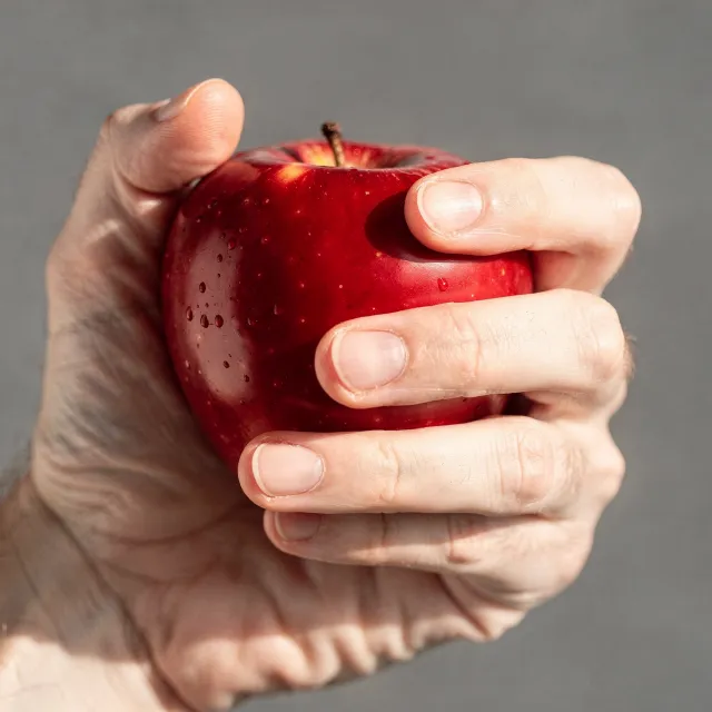 A realistic photo of a hand holding a red apple, with all fingers clearly visible - Black Forest Labs FLUX.2 Max