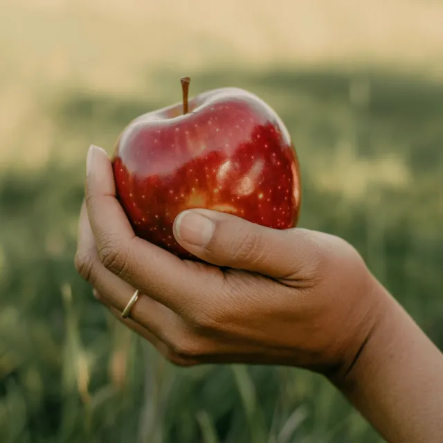 A realistic photo of a hand holding a red apple, with all fingers clearly visible. - Ideogram 3.0 (Quality)
