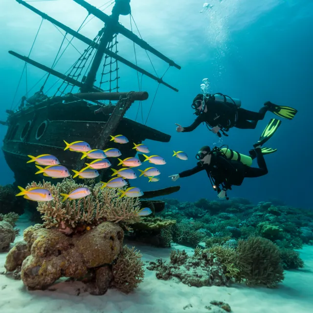An underwater scene with scuba divers exploring a coral reef alongside colorful fish and… - Ideogram 3.0 (Quality)