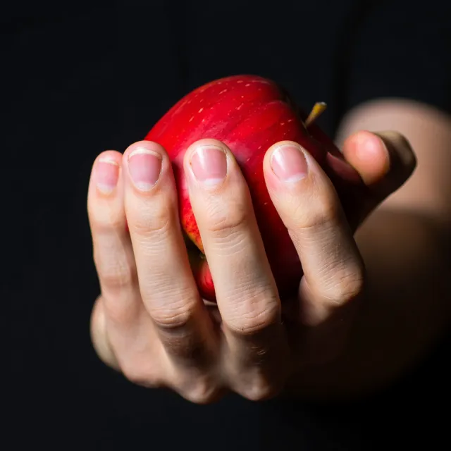 A realistic photo of a hand holding a red apple, with all fingers clearly visible. - Reve Image (Halfmoon)